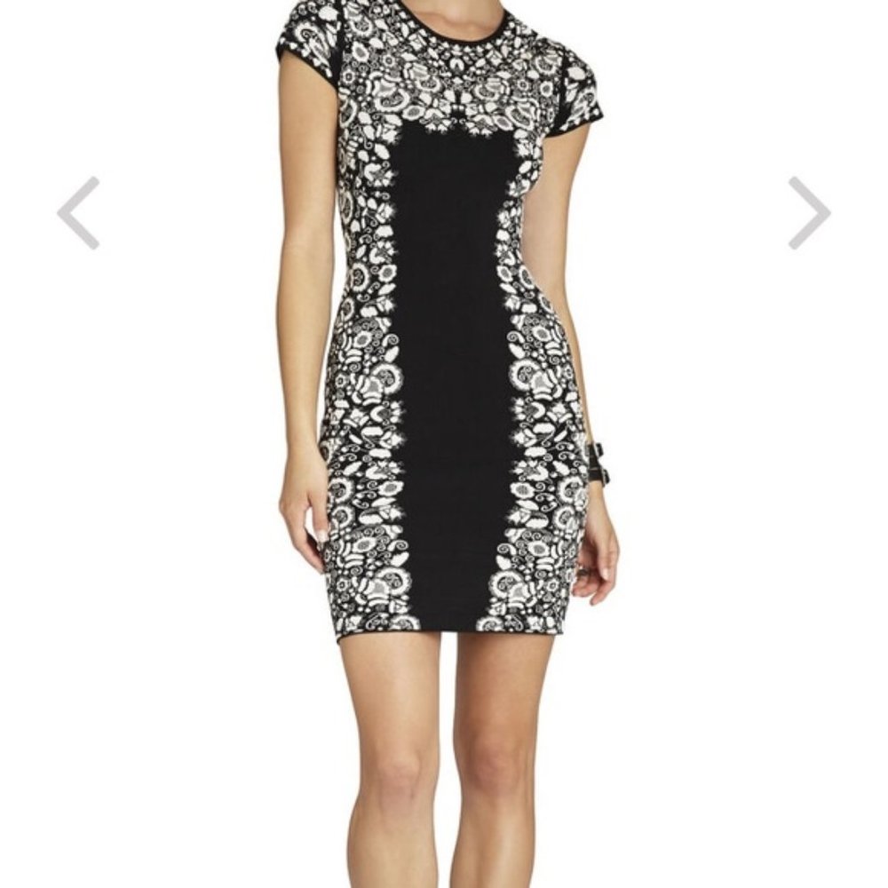 NWT BCBG Max Azria Fabiana Bodycon Dress